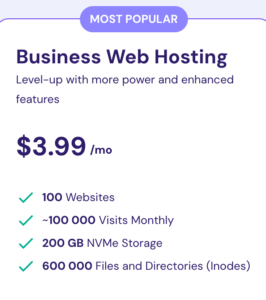 Business web hosting